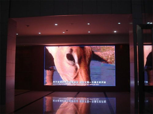 郑州透明LED电子显示屏解决方案 纳斯特光电引领户外屏视觉新潮流